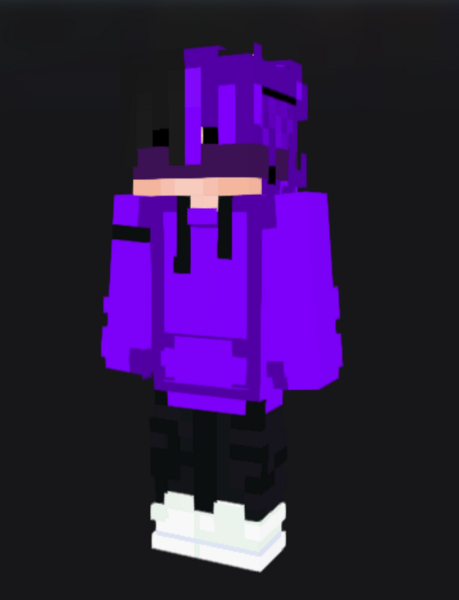 File:NSR Skin 3D.png